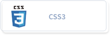 css3